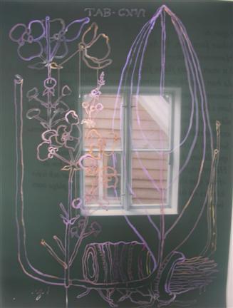 leprosy 002.jpg - False Windows, 2011